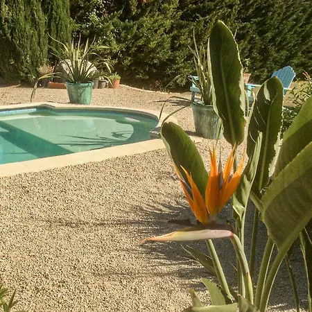 Lovely In With Outdoor Swimming Pool Holiday home *